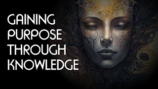 Gaining Purpose Through Knowledge (Big Philosophy Collab Video)