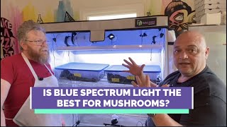 Mushroom LED Grow Tent Kit for Fruiting & Incubation Part 2: Blue Spectrum Light & Mycelium Stage