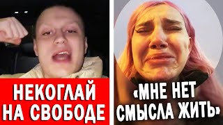 Некоглая отпустили на родину | Даша Карейка в истерике