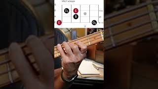 You NEED To Know This Music Theory For Bass!