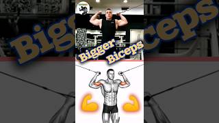 Big Biceps workout | Biceps workout  | bigger biceps | biceps #bicepsworkout #biceps #armworkout