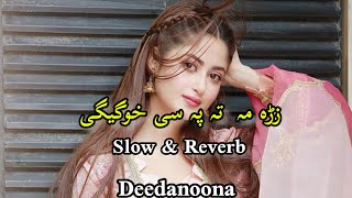 Pashto New Songs 2023 (Slowed+Reverb) Pashto love song | Sad Song | New Song 2023  @deedanooan