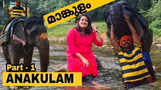 Anakulam | The Land Of Wild Elephants  Mankulam Idukki  | kerala south India Must visit Places