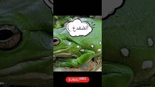 حيوانات حرم الله قتلها فاحذر