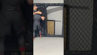 Takedown off the cage. Nogi bjj