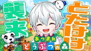 【あつまれどうぶつの森】ついにとたけけライブ開催！最後の住民は誰になる？？？【おらふくん】