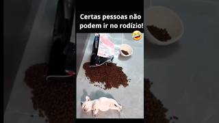 quem mais não pode ir no rodízio?😂curtem muito❤️#comedia #humor #pets #petslover #dogs #pet #pitbull