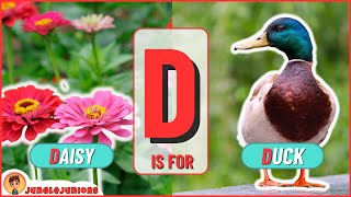 Letter D | Animal Encyclopedia | ABC Animals for Kids, Homeschooling