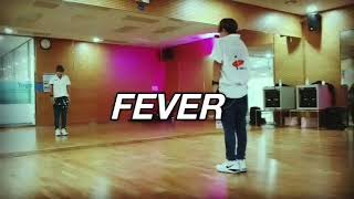 (J.Y.park)박진영(feat.수퍼비.BIBI)FEVER안무