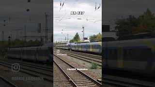 BR 427, BR 442 oder BR 462 wenn du 2h fahren musst #edit #editing #video #shorts #railway #eisenbahn