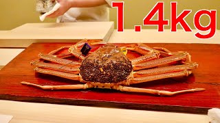 JAPANESE RESTAURANT You Should Visit on YOUR TRAVELS to TOKYO!：Ginza Fujita【Omakase】【tokyo vlog】