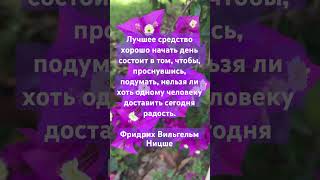 #психология #таро #регрессионнаятерапия #отношения #таронумерология #tarot