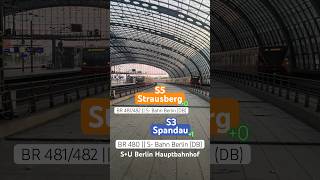 Zwei S- Bahnen der BR 480 und der BR 481/482 im Hauptbahnhof (Berlin) | ÖPNVinBB #shorts