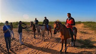 Horse Riding In Bhuj | KUTCH