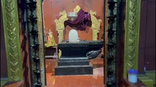 Lord Shiva Abhishekam