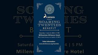 You’re Invited: Soaring Twenties Benefit