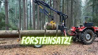 Forsteinsatz! Let's Säg Stihl MS 066+ Drive Massey Ferguson 254s + Rückewagen