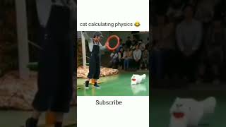 Cat calculating physics 😂  #shorts #ytshorts