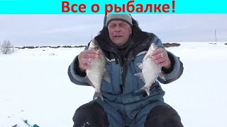 В Глухозимье Ловим Леща!!! И Не Только !!!