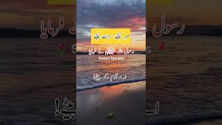 Rasool Allah SAW Ne Farmaya  Sabar Kijiay Jannat Lijiay #shorts #youtubeshorts #viral #short