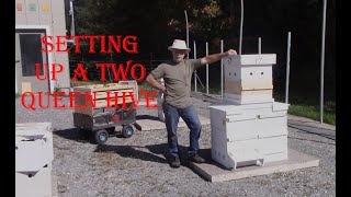 Setting up a Two Queen Hive