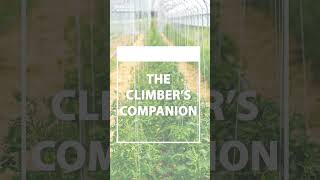 Elevate Your Garden with Tata Wiron Agriculture Wire | The Ultimate Climber's Companion | #tatawiron