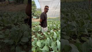 Be smart,. Do natural farming