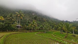 Indah Sekali, Suasana Curug Di Kampung Lesti, Curug aki Toto, Curug Lesti