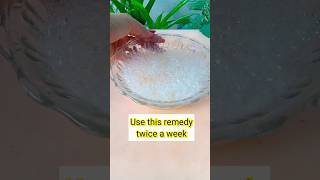 Shampoo Hacks For Smooth Hair Growth l Extreme Hair Growth #ytshort #shorts #youtubeshorts