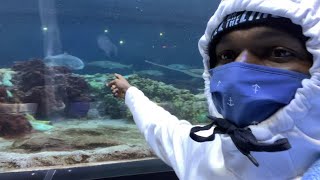 Sea World Family Vlog *I’ll be back fishing soon‼️