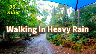 Walking In Heavy Rain In The Woods - Virtual Country Walk - England, UK