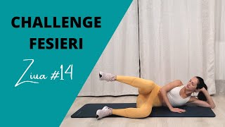 Challenge fesieri ziua #14