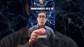 USA TU CEREBRO 🧠 A TU FAVOR PARA ENAMORARTE ❤️ #psicologia #amorpropio #neurociencia