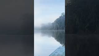 POV: Morning in the Amazon