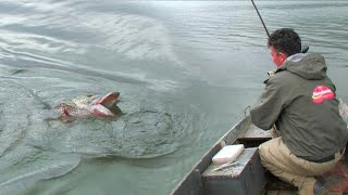 Pecanje štuke i deverike na Zvorničkom jezeru - Varaličarenje | Fishing big pike