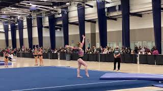 Rose Gold Classic 2022 Floor 9.775 1st Place 37.775 1st Place AA