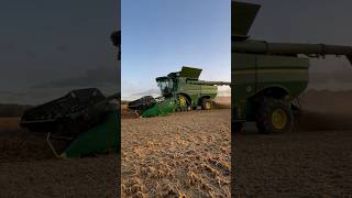 S785 harvesting millet into the evening #johndeere #johndeerecombine #harvest #combineharvester