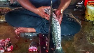 Popular Alive Fish Cutting|| Fast Fish Cutting Skills||  Fastest Fish Slicing In Market|| HD