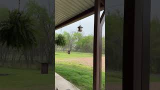 Love the rain hitting the metal roof.