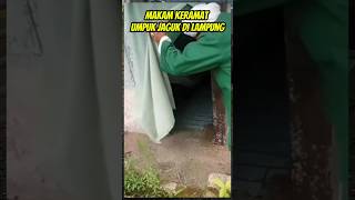 Makam keramat Umpuk Jaguk #doa #sholawat #shorts