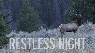 Teaser - 2014 Montana Archery Elk Hunt "Restless Night"