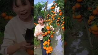 Natural Fruits Cuttings 🍉🍈🥭#youtubeshorts #trending