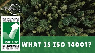 Manage Your Sustainability Within Your Organisation - What Is ISO 14001?