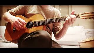 Neil Young | Stephen Stills medley in Double Drop D tuning on a century old German Parlor guitar