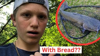 Catching CHANNEL CATS on BREAD!! (ft. Survival Bros)