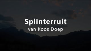 Splinterruit (van Koos Doep)