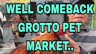 Well comeback grotto pet market