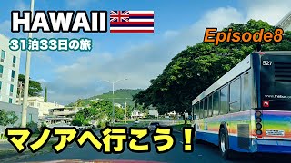 【HAWAII】マノアトレイルからの美味いポケ！2023~2024 31泊33日　Episode８その他普通の観光客が絶対行かないハワイ　＃ハワイ旅行　＃ハワイvlog   #hawaii