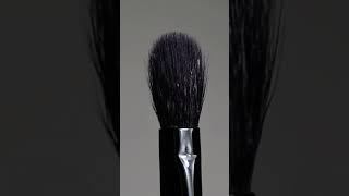 TEXAMO BRUSHES DETAILED EYE SET #TEXAMOBRUSHES