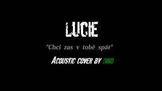 Lucie - Chci zas v tobě spát - Acoustic cover by Dino